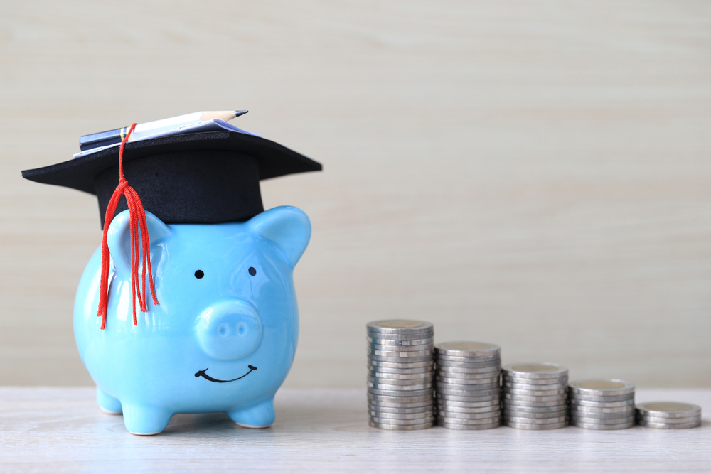 pig in graduation cap